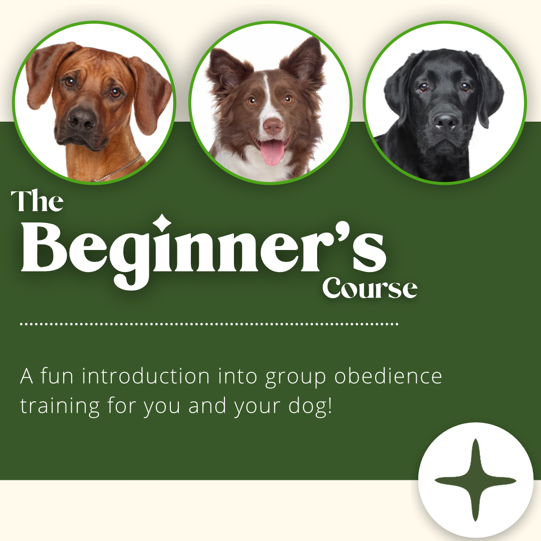 The Beginner's Course