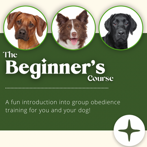 Group shop obedience classes