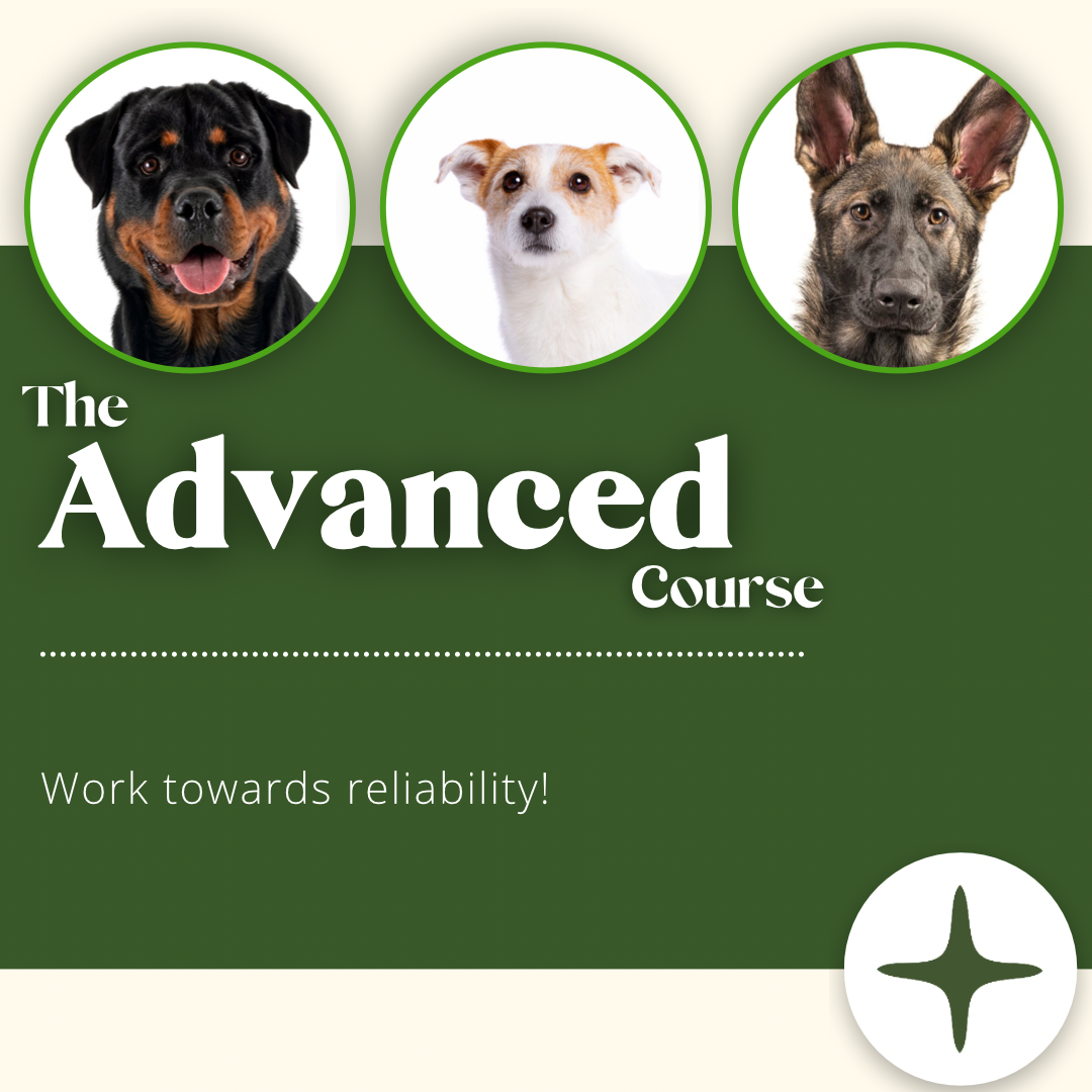 The Advanced Course