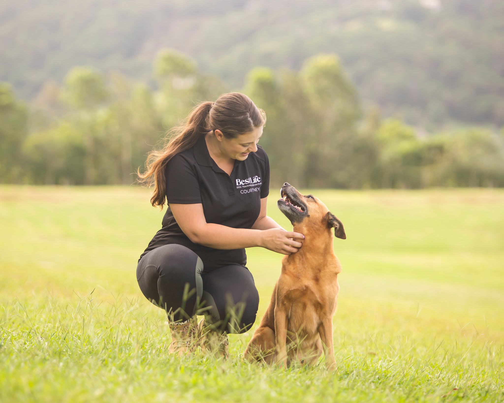 Woman and brown dog stare at each other in field