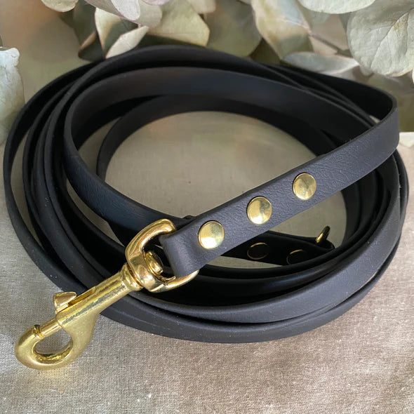 Black and gold long dog leash 