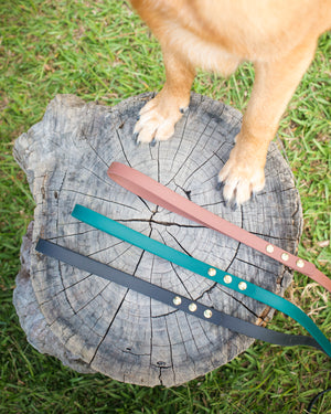 Dog paws on log with green brown and black dog leash handles